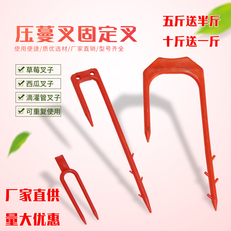 Strawberry fork seedling forked with rooting and creeping stalks Vine Pressure Cranberry fork Watermelon Fork microspray with drip irrigation with fixed fork