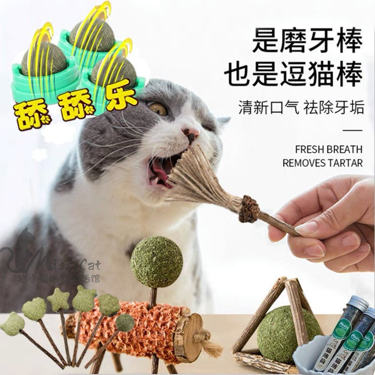 Kitty Grinders Baton wood days Feline Cat Mint Stick Candy Ball clean teeth Nibble Clean Mouth Self hi Toys