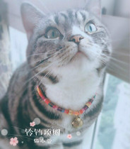 Pet Name Group Wind Bronze Bell Bell Bell Cotton Rope Necklace Kitty Ornament Dog Chain Neckline Color Random