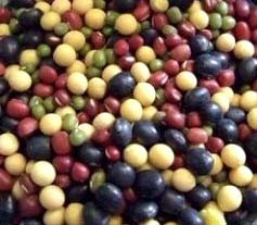Northeast farmhouse Five colorful beans yellow black and white red green-five-coloured beans RMB12  catty of five catties
