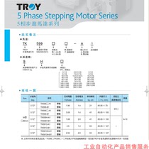 Taiying 5 Phase stepper motor motor TK596 599 5913-H-P-A B1 Taiwan TROY