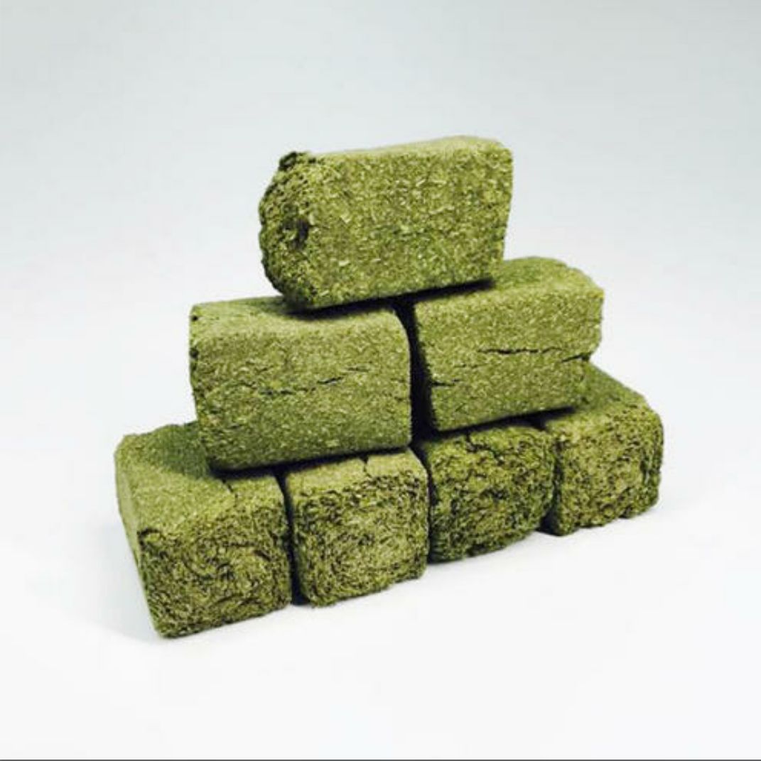 New Pint Pure Imported Purple Flower Clover Grinding Tooth Grass Brick Rabbit Dragon Cat Tasty Small Food Grinding 500 gr