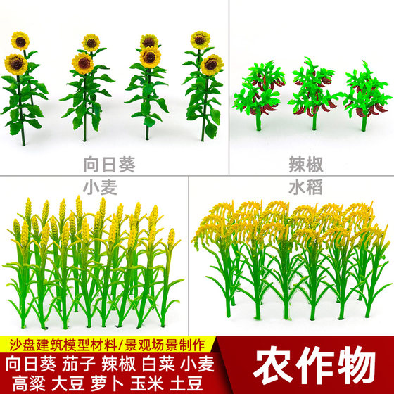 Miniature model simulation sunflower pepper Chinese cabbage miniature simulation crop scene crops corn