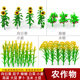 Miniature model simulation sunflower pepper Chinese cabbage miniature simulation crop scene crops corn