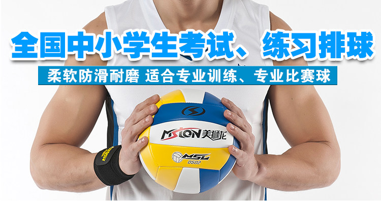 Ballon de volley-ball - Ref 2013375 Image 5