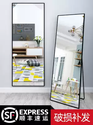 Full-length mirror special home grooming mirror bedroom light luxury Net red clothing store three-dimensional girl increased