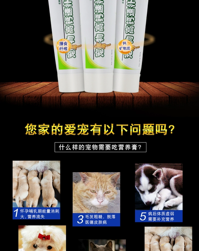 Mới yêu thích Kang kem dinh dưỡng chó cưng mèo trẻ mang thai Teddy Golden Retriever nhanh canxi sản phẩm sức khỏe con chó