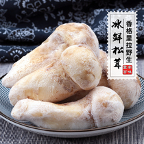 Chilled Matsutake Wild Matsutake mushroom Yunnan Shangri-La fresh frozen wild mushroom 7-9cm500g
