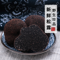 2021 Fresh black truffle Wild fungus truffle Yunnan specialty truffle porcine fungus Edible mushroom 5cm500g