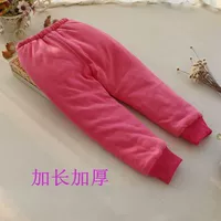 Янгри красный