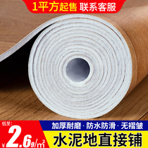 Carpet Bedroom girl full paved large area Living room floor mat Waterproof wipe-free plastic carpet Cement floor full paved