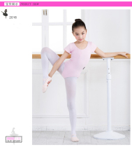 half sleeve gym suit