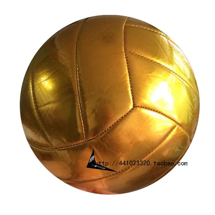 Ballon de volley - Ref 2009649 Image 35