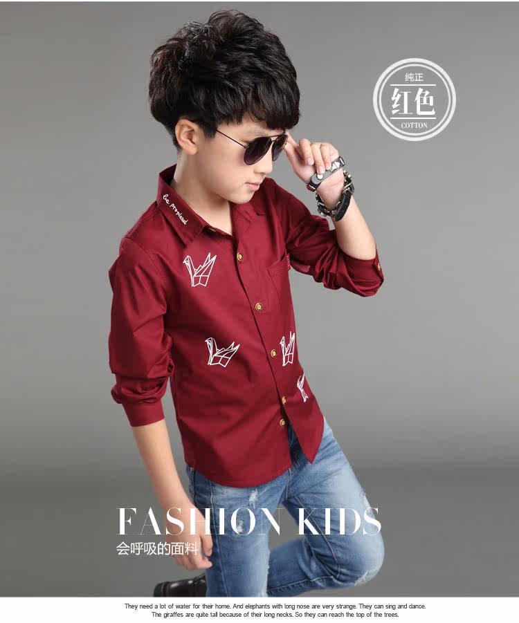 Chemise garcon à manche longue - Ref 2073276 Image 22