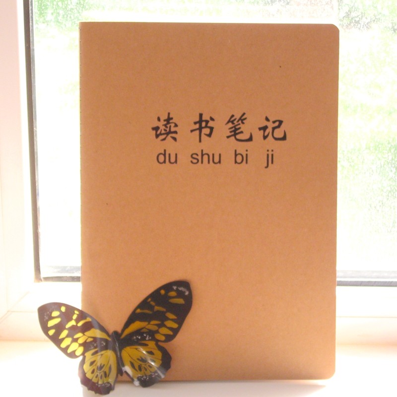 Reading notebook excerpts notebook primary school students 16K excerpts reading pen record good words and sentences b5