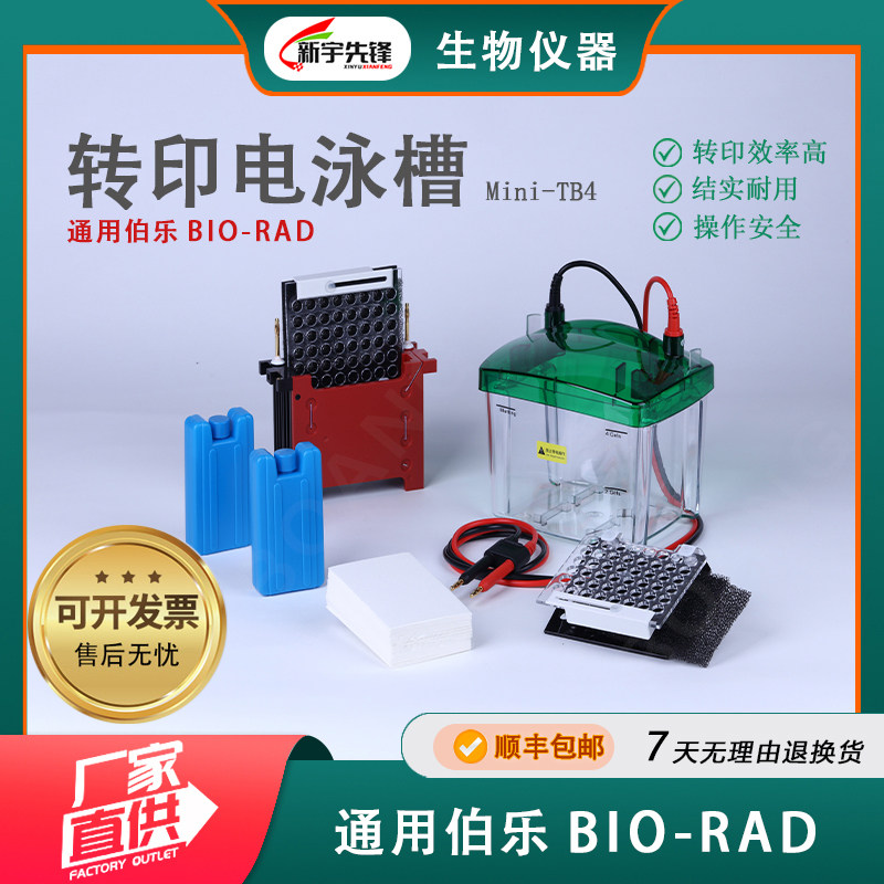 国产WB小型转印电泳槽(湿转)蛋白转印槽通用伯乐Mini Trans-Blot