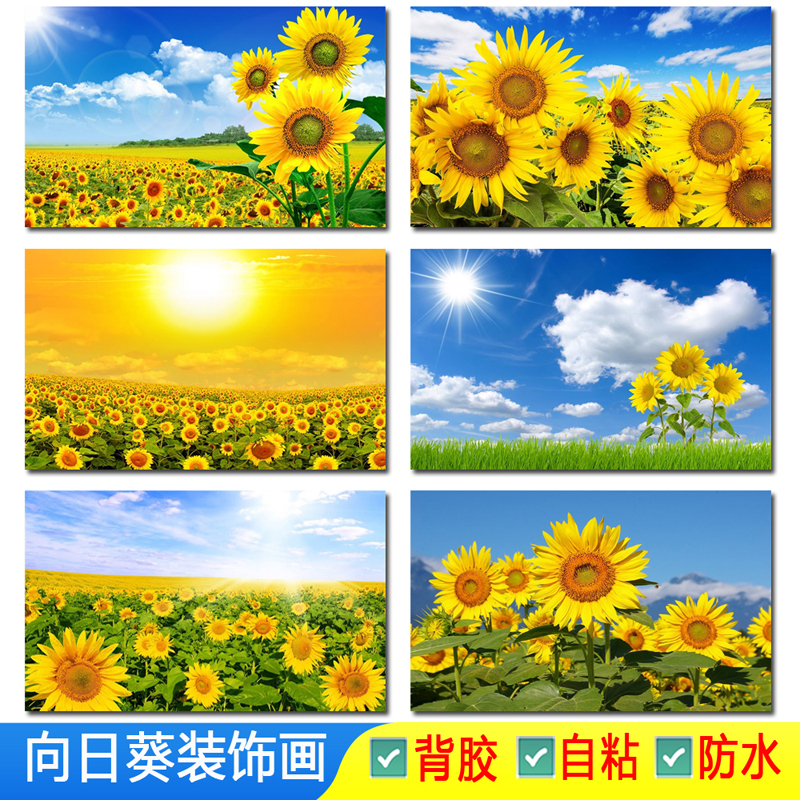 Sunflower Decorative Poster, Sunflower, Sun Flower, Glass Sticker, Sunflower Scenery, Floral Background, Self-Adhesive Painting Picture