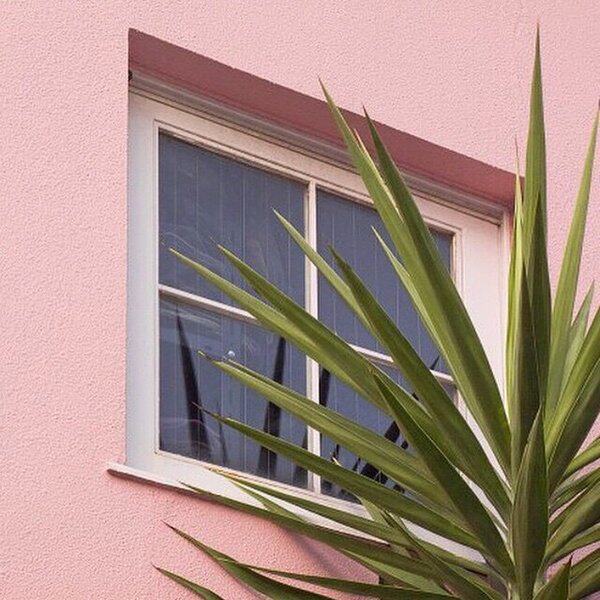 Flower field window postage shoot clothes to make up the difference