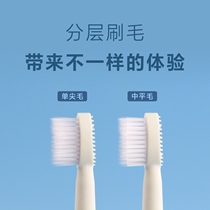The head of the toothbrush