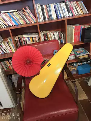 Raan high quality explosive fashion light waterproof drop-proof 1 2 3 4 4 4 Universal adjustable violin box