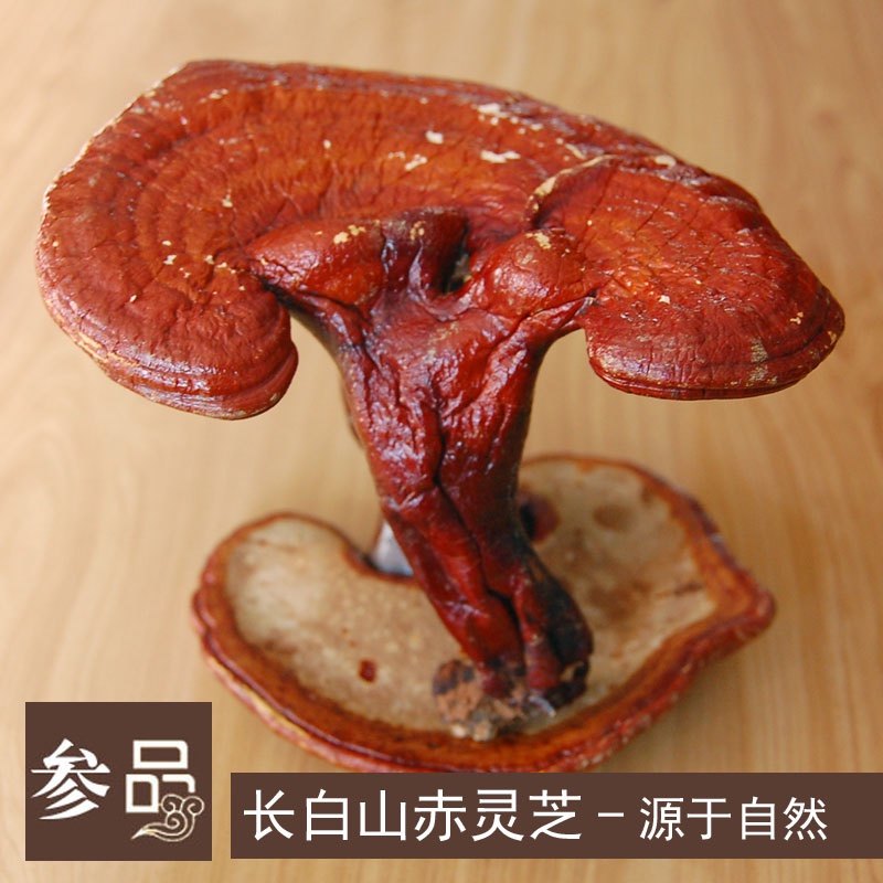 Gangche Changbai Mountain Paisha Gangsheu