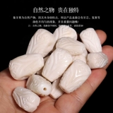 Баозен симпатическая слоновая кость, эванизируя бог -рисунок, три -пух