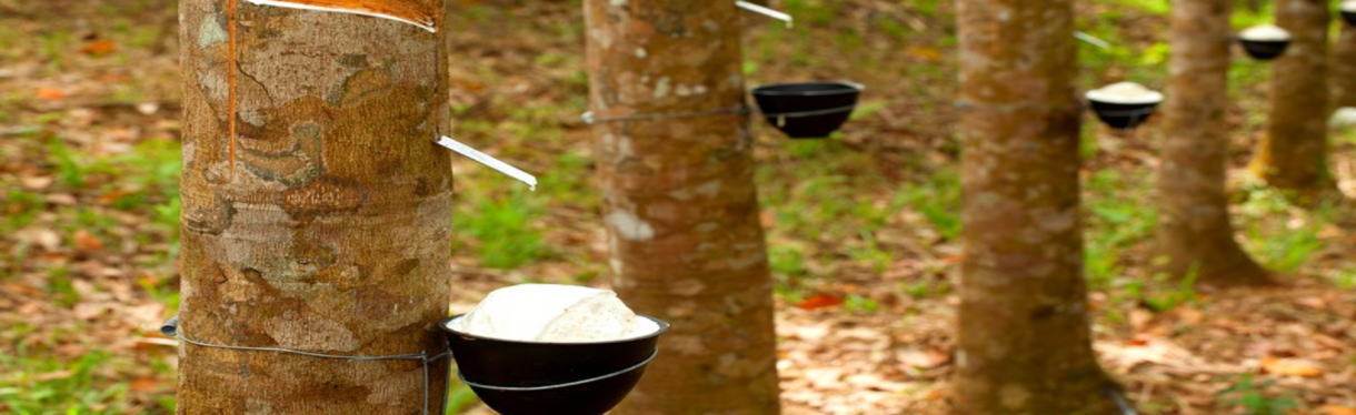 嘉信盈泰内盘期货标准投资账户，嘉信盈泰内盘期货投资顾问，嘉信盈泰公司正规吗