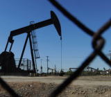 美国能源情报署(US Energy Information Administration)周二表示，到2020年，美国...