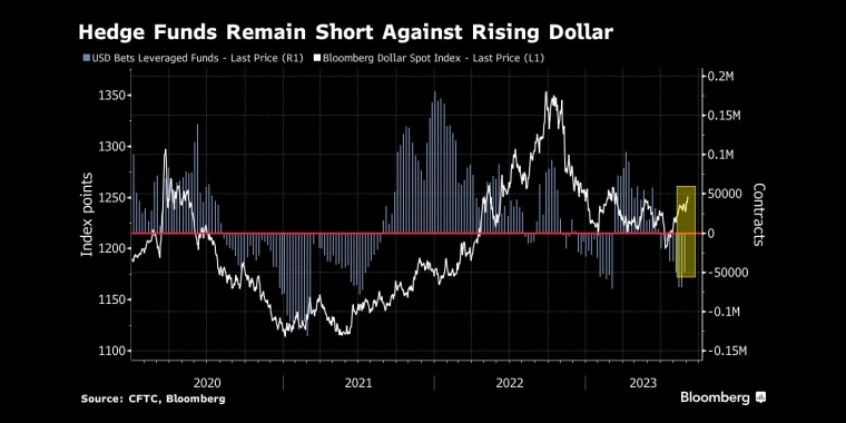 对冲基金继续做空美元 - 行情走势分析 - 股指、黄金、外汇、原油 - 财经图表/统计图表/分析图表/经济指标【GDP-CPI-PMI-非农】 - 彭博社 - Bloomberg - 市场矩阵