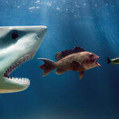 《华盛顿邮报》援引知情人士报道，共和党领导人正在考虑22％的公司税率，以求降低税改所带来的赤字。在众议院和参议院此前分别通过的税收立法版本中，公司税率都计划下调到20％。根据国会预算办公室此前的预算，本次税改预计将在十年内将赤字增加1.4万亿美元。