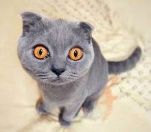 9月果然是充满劫数的一个月份。在美日欧“超级星期四”掀翻市场之后，本周五起金融市场即将迎来更多挑战，德国和新西兰大选战火燎燃；此外，欧佩克监督会议即将召开