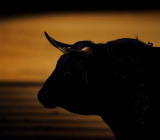 继周二晚油股同涨、原油大涨2%后，周三早盘市场对疫情好转信心增强，风险情绪继续发酵。截至发稿时间，创业板指涨幅扩大至2%，深证成指涨0.8%，上证综指涨0.2%...