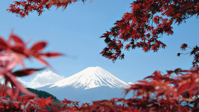 日本最新消息，盘中日元突发重大资讯，日元对美元，日元价格走势图，日元最新汇价，日元对欧元，日元避险属性，日本央行收紧宽松，日本央行加息，黑田东彦