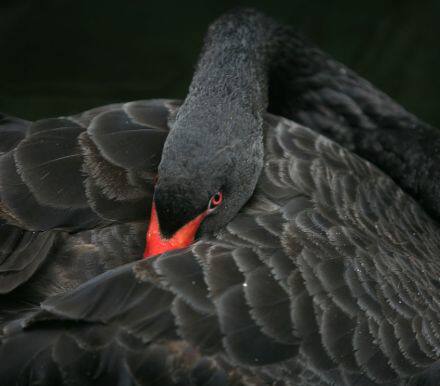 道明证券：日本3月贸易数据远超预期，因进口疲软