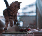 摩根大通和汇丰资产管理公司在半年展望报告中都预测，人们对全球经济即将陷入衰退的担忧被夸大了