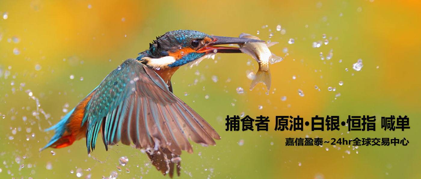 原油喊单，原油喊单直播间，现货原油，美原油，布伦特原油；现货白银，美白银，comex，白银直播室；恒指喊单，恒指期货喊单直播室