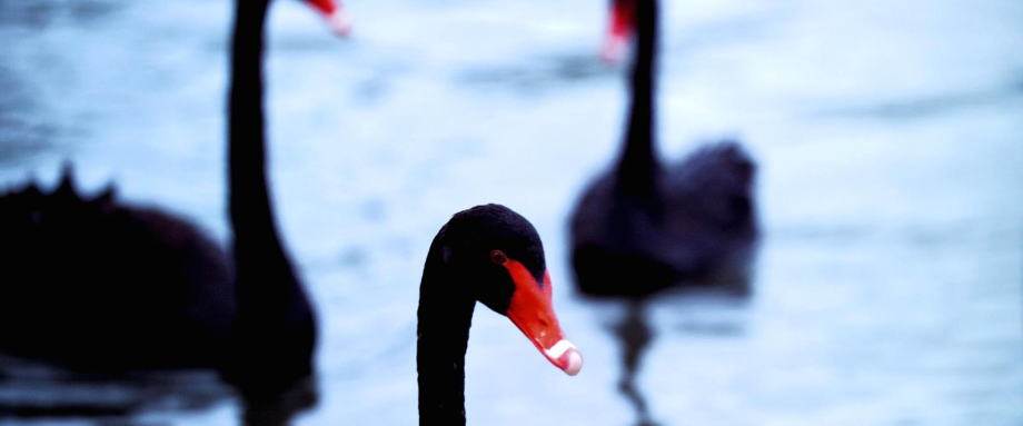 在今年,曾经被当成是“土大款”、“油富豪”的中东地区似乎不再满足于悠闲地“坐吃山空”,开始主动进军能源以外的其他市场。