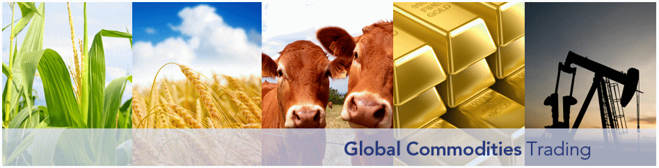 芝商所开户，cme开户，cmegroup开户，外盘开户，配资开户