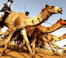 原油交易策略，最新白银交易分析，今日原油走势分析，今日恒指策略