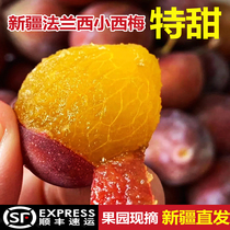 Xianni Xinjiang West Plum Fresh Fruit Kashgar French West Plum Xinjiang Xiaoximei Pregnant Women Fruit 4 Jin Gift Box