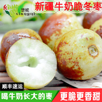 Xinjiang winter jujube fresh fruit crispy sweet milk jujube better than Dali sweet jujube green jujube pregnant women eat Shunfeng