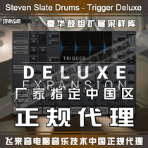 Steven Slate Audio Trigger 2 Deluxe Genuine Slate Drum Replacement Expansion Library