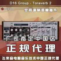 Genuine D16 Group Toraverb 2