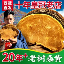 Tibet straight hair) wild Dasanghuang Tibet Xiaonu 13 years autonomous region Ganoderma lucidum premium 250g non-500g