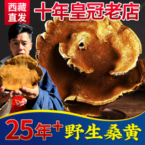 Tibet wild 25-year-old mulberry tree mulberry yellow Tibet Xiaonu 13-year-old autonomous region Ganoderma lucidum premium 500g