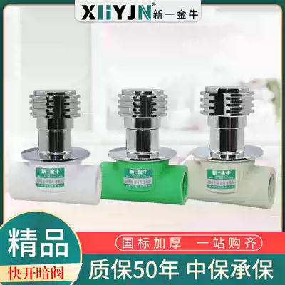 New Jinniu pure copper PPR quick open valve 4 minutes 20 6 minutes 25 boutique home decoration dark valve spool gray green