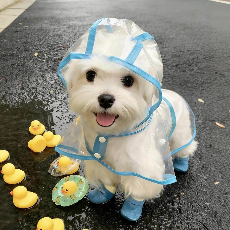 Dog Raincoat Cape, Puppy Clothes, Bichon, Teddy, Corgi, Universal Style for Large, Medium, and Small Dogs, Transparent Rain Poncho, Waterproof