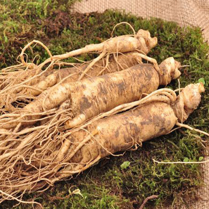 Fresh Tanks Chief Baishan Fresh People Garden Zheng 5 5 GROM 250 GROUP 2020 Shunfeng