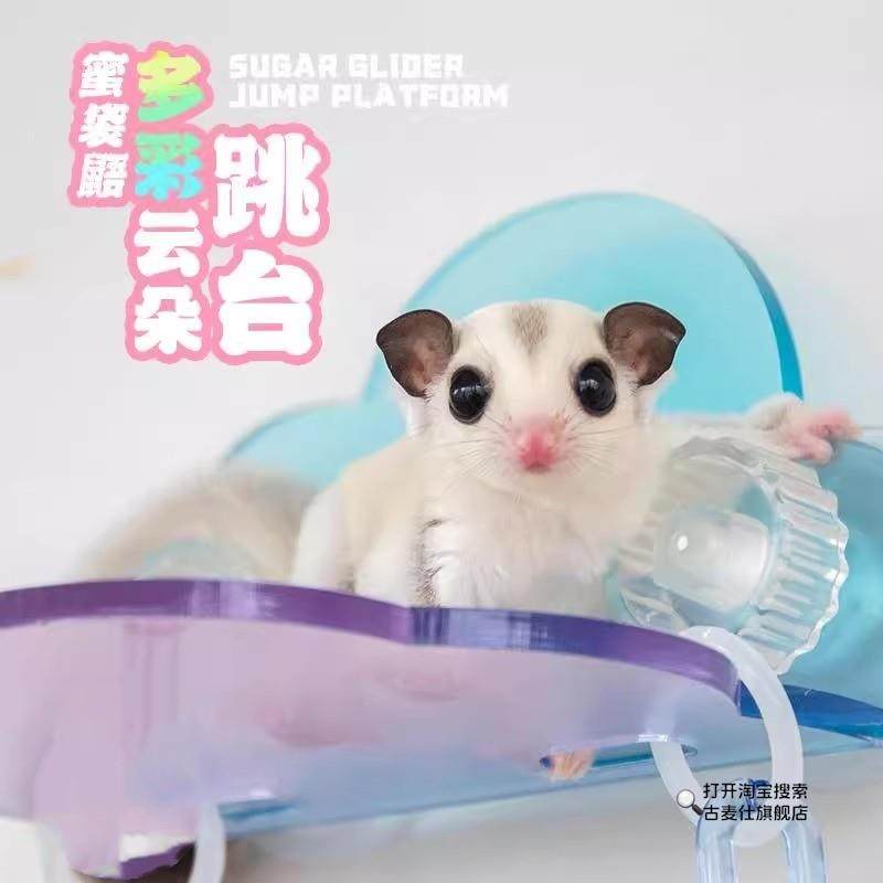 Sugar Glider Flying Platform Take-Off Platform Self-Adhesive Colorful Cloud Platform Climbing Training Toy Flying Training Equipment