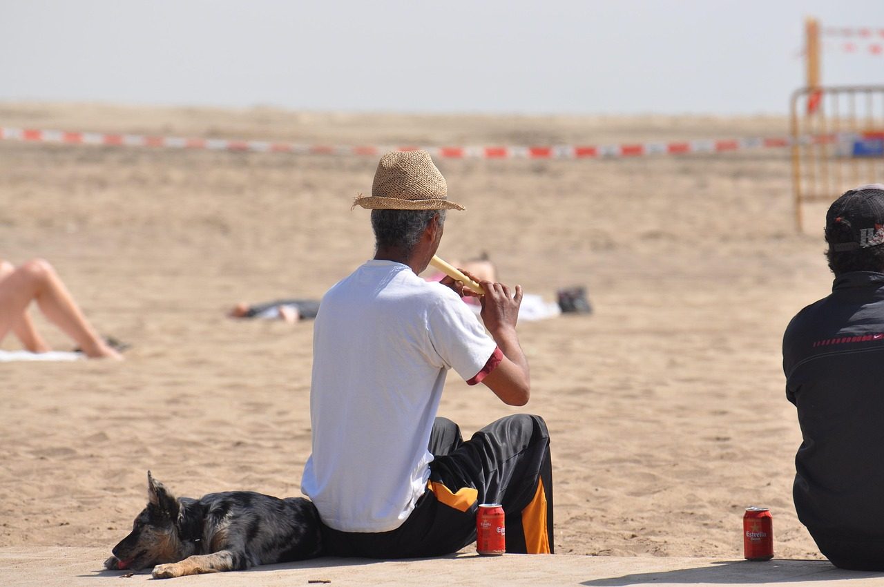 who composed the magic flute